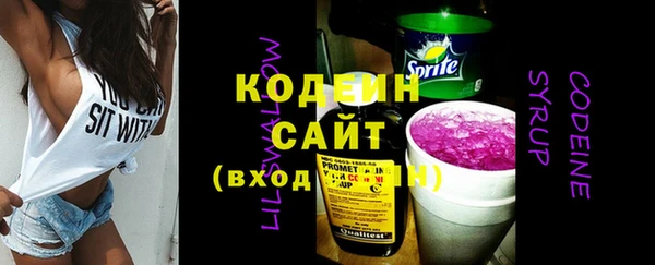 амф Гусиноозёрск