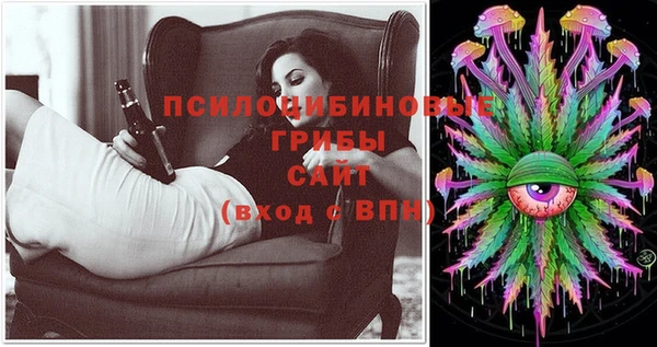 амф Гусиноозёрск
