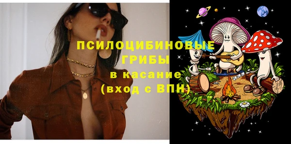 амф Гусиноозёрск