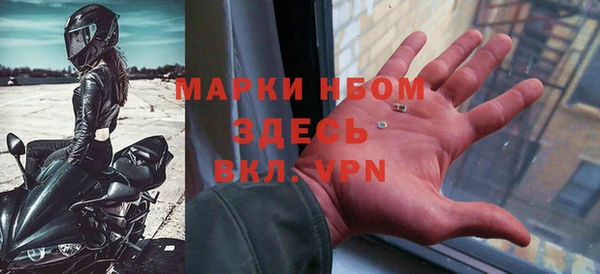 амф Гусиноозёрск