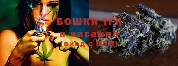 амф Гусиноозёрск