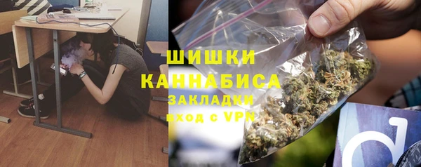 амф Гусиноозёрск